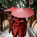 부흥마스타 이미지