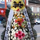 임실꽃화원 네이버블로그