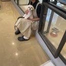 양영초교 앞 이미지