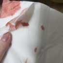 로얄종합동물병원 이미지