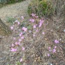 참(charm)행정사 사무소 이미지