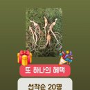 뿌리# 이미지