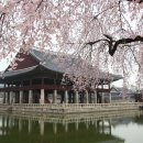 놀이문화공동체 | 조선 후기 서민 문화와 민속 신앙