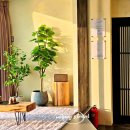 안리감성 스테이 이미지