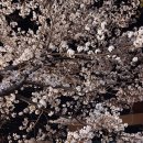 에이치모터스 이미지