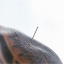 모든한의원 이미지