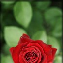 석기사랑 이미지