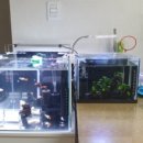 어항 세탁소 이미지