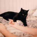 신천동물병원 이미지