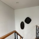 디나우스 이미지