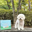 펫마트 이발소 이미지