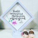 노형아로마 이미지
