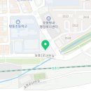 멍바이멍 반려견 유치원 이미지