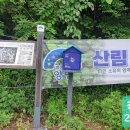 경기둘레길 양평26코스 | 경기둘레길(양평):26코스