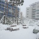 둥지부동산중개 이미지