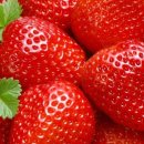 딸기짐 이미지