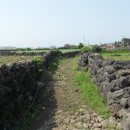 납읍초등학교 이미지