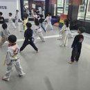 국가대표 본 태권도장 이미지