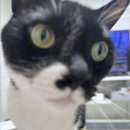 서프라이즈짐 | 서프라이즈