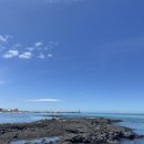 태흥목장 | 🌊제주여행(구좌,성산,서귀포 코스)🌴+2인 경비+전기차 충전비용