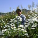 돈탁마을입구 이미지