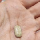 에스지생활안전㈜ | 식물성 멜라토닌,멜라라임 플러스 후기｜나이 들수록 잠이 얕아질 때