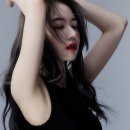 사쿠라PC 이미지