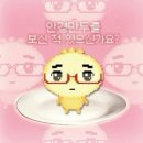 아진일렉트론3공장 | 여름 코코아 겨울 수박