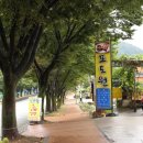 포도원식당 이미지