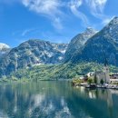 백조음식점 이미지