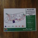 손손디자인 이미지