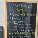 댕스미스 애견미용 이미지