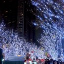 금옥여고보도육교 밑 | 도쿄 모리타워 전망대 (현장티켓 가격) 롯폰기 일루미네이션 후기