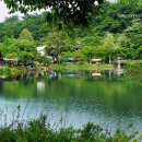 구름다리위 교차로 이미지
