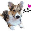 지주 헤어 살롱