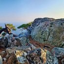 용문사 일주문 이미지