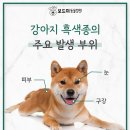 석적동물병원 이미지