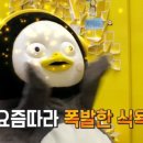 여수밀면 이미지