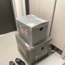 백일 | 셀프 백일상 후기: 희희테이블 사진 보정 꿀팁 총정리