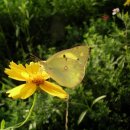 거창고등학교 이미지