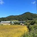 중산태권도 이미지