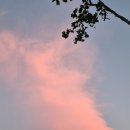 칠성체육공원 네이버블로그