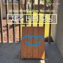 버터모닝 | 제주 버터모닝 주문방법 픽업 및 구매후기 예약 방법 바뀜(문자)