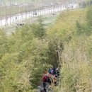 대나무공원 화장실 이미지