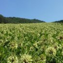 종명농장 네이버블로그