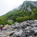 해남군청 사거리 이미지