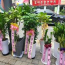 다비치안경 이천중앙점 네이버블로그