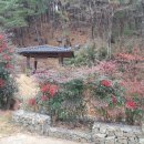 경주 한옥펜션 구토란