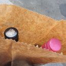 새강변가든 | 호주여행 서호주 퍼스여행 후기 _ 킹스파크 &amp; 보태닉 가든 와인피크닉, , Elizabeth Quay 엘리자베스 키...