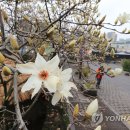 서귀포종합관광안내소 이미지